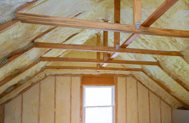Best Attic Insulation Installation  in Greenville, DE